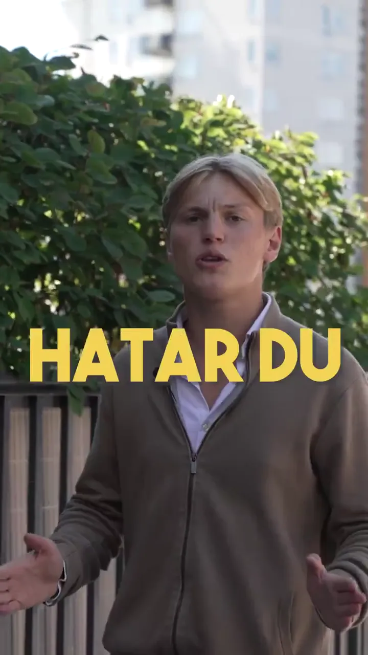 TikTok Ads för iSales